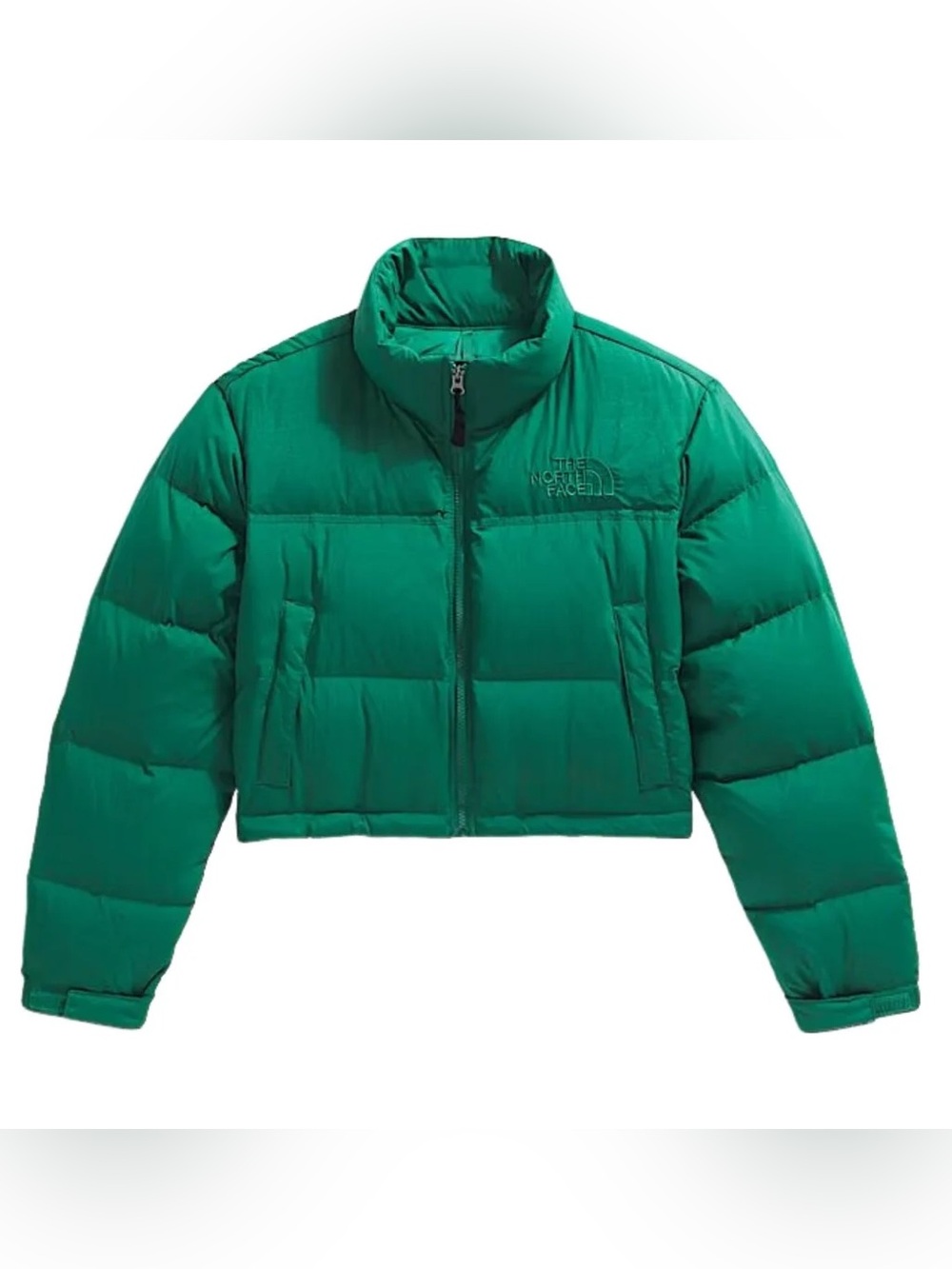 NWT The North Face Evergreen Nuptse Short DTM Jacket- Women's Size Large - Picture 4 of 11